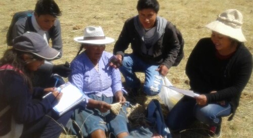 PINDIGENAS_BOLIVIA SANCESTRALES.jpg